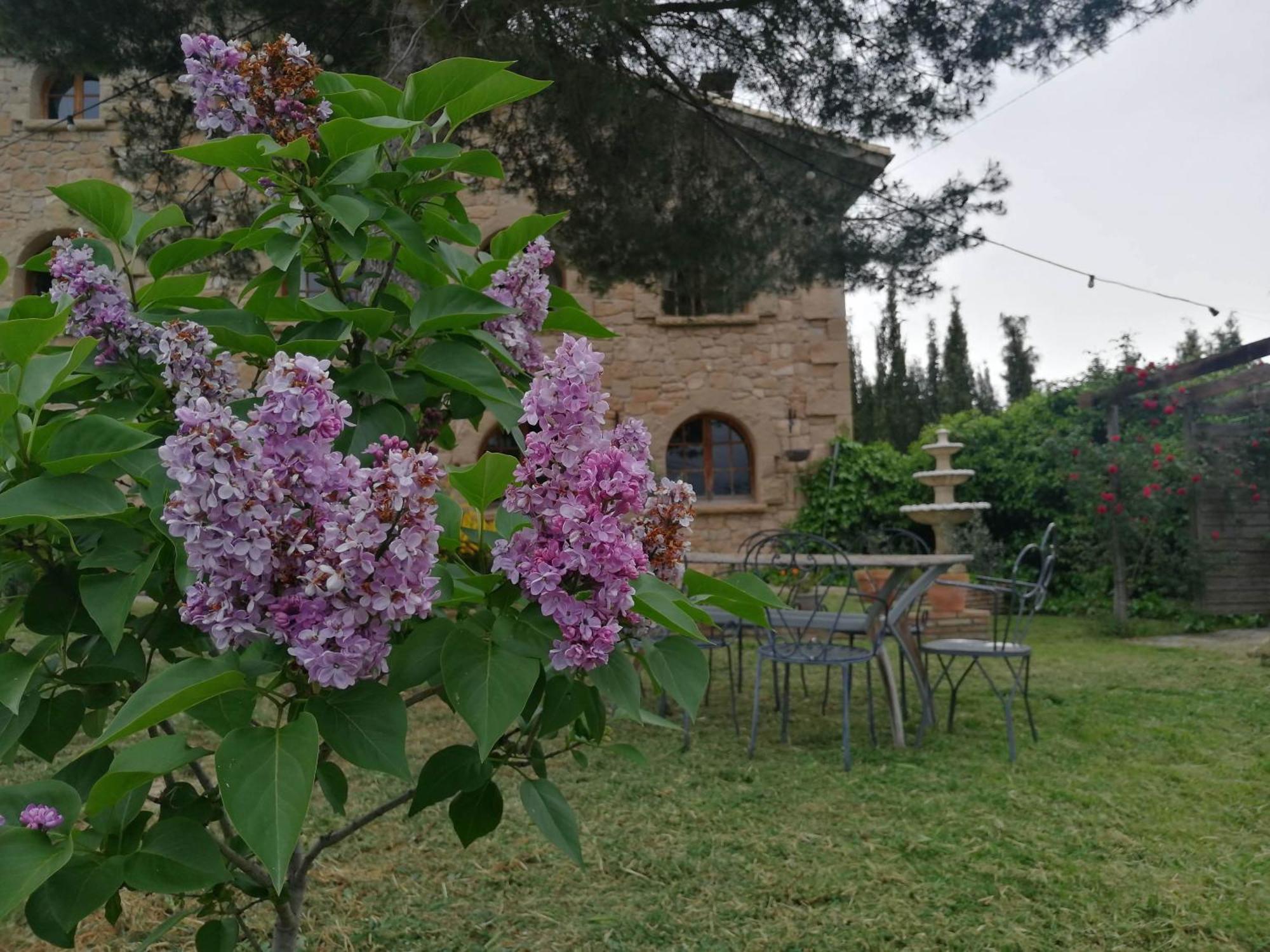 Cal Japet Encant Rural Fonollosa Buitenkant foto